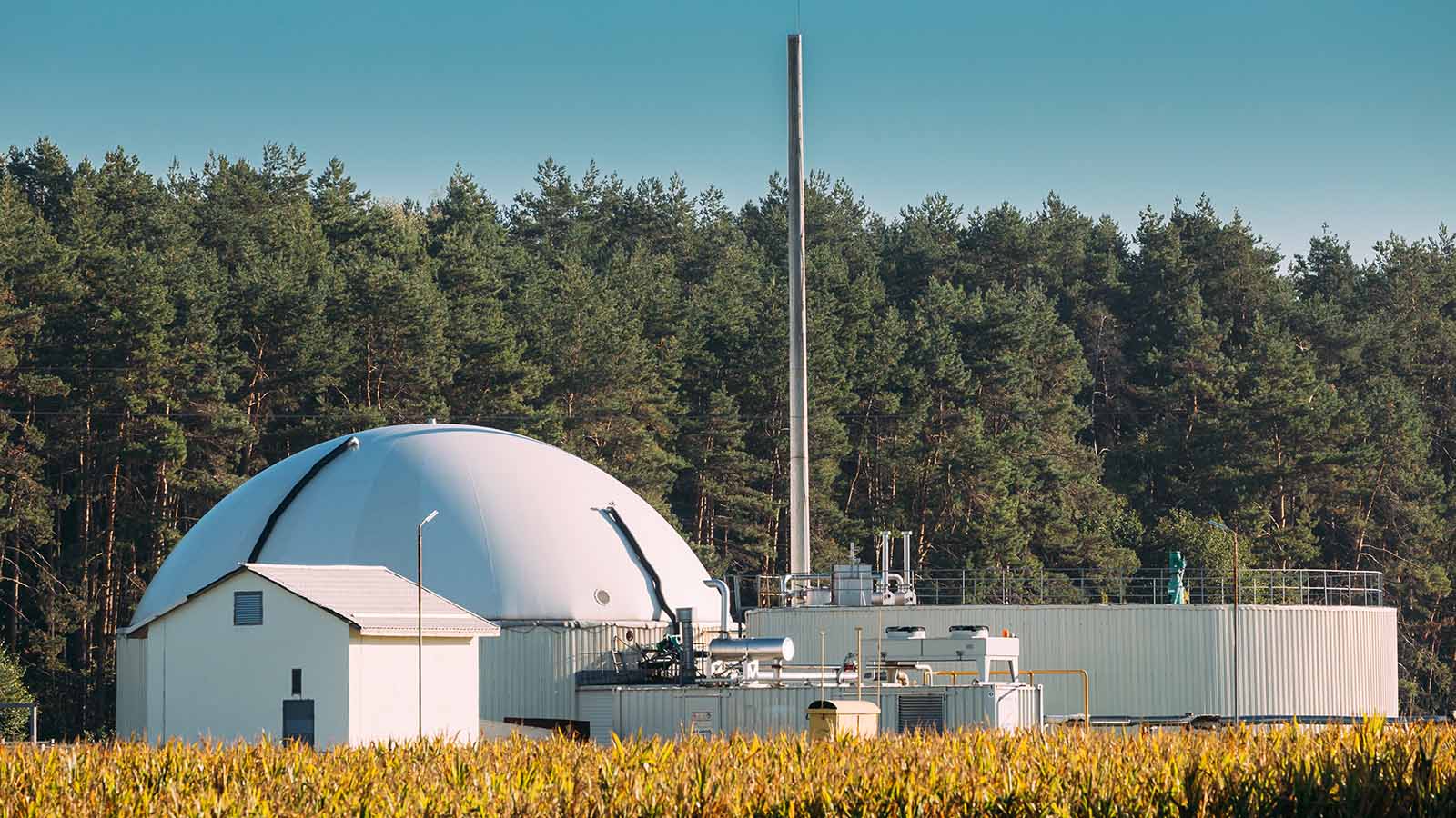 Biodigesters