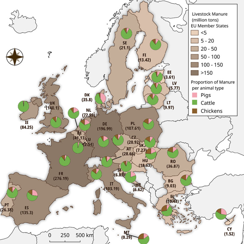 manure production europe