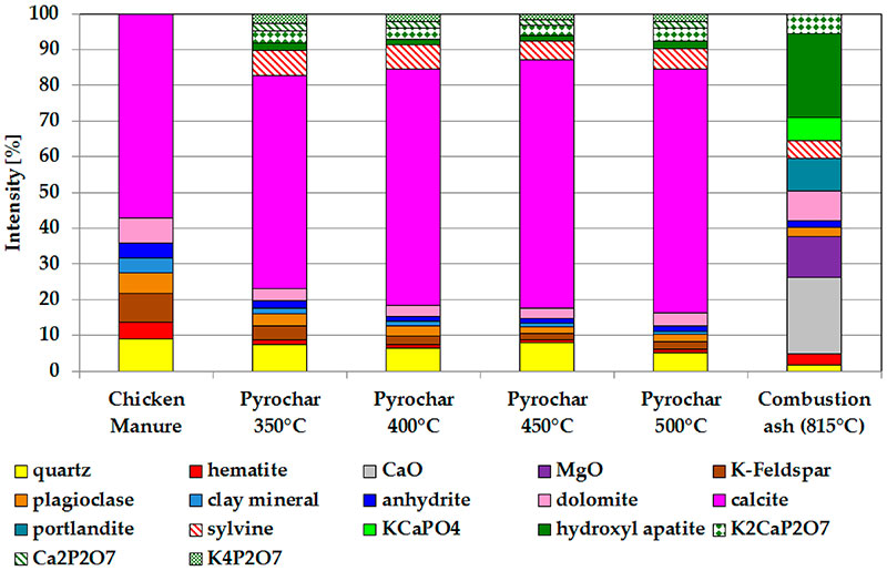 manure pyrolisis